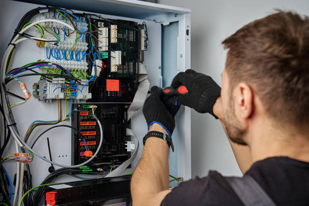 Licensed Electrical Panel Upgrade service in Imlay City, MI - No Joke electrician